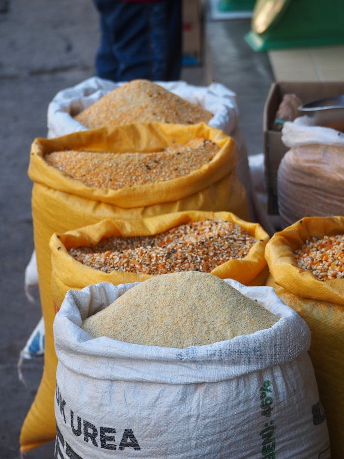 pexels photo 18404065 Colorful grains stored in large sacks at an outdoor market, showcasing abundance and variety.