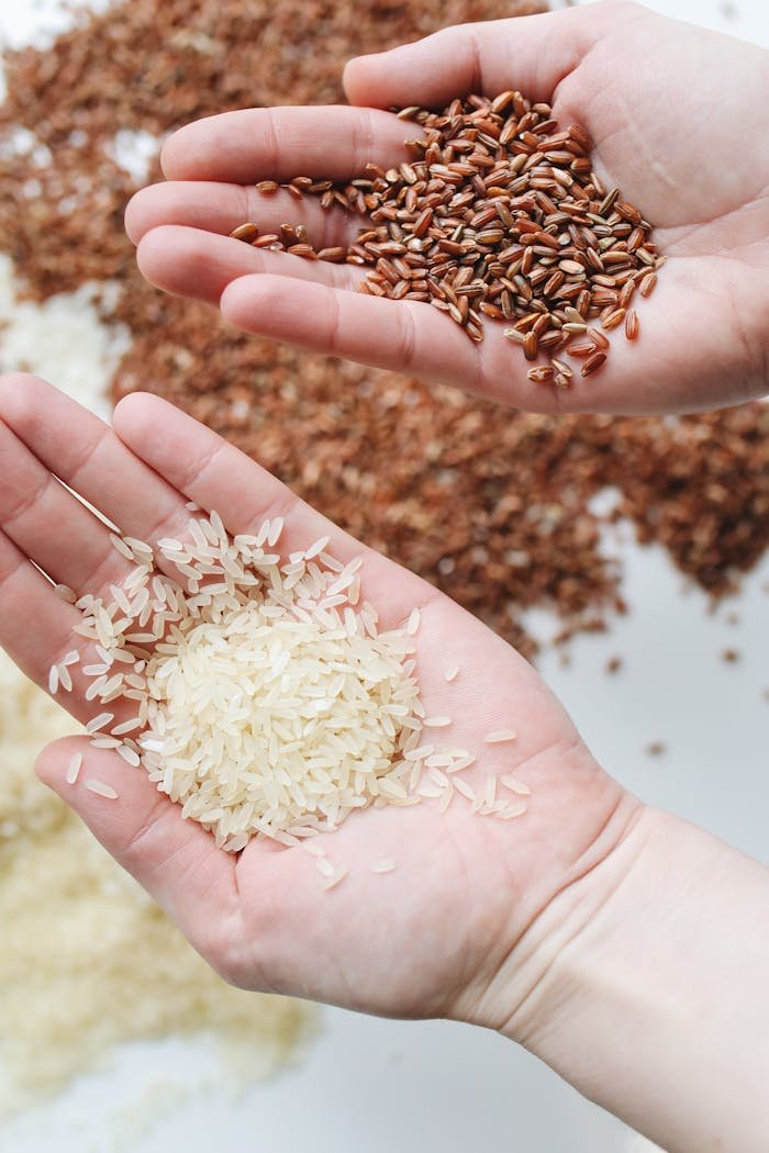 brand-02 Hands holding red and white rice varieties, showcasing raw grains.